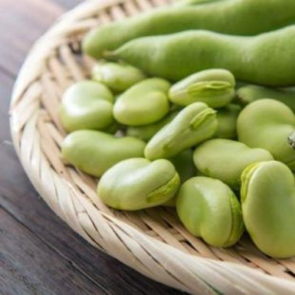 Bakla Tohumu Ekim Seti - Resim 4