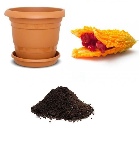 Kudret Narı Tohumu Ekim Seti