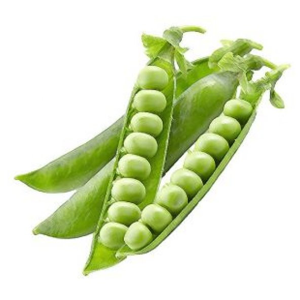 Bezelye Tohumu Ekim Seti - 2