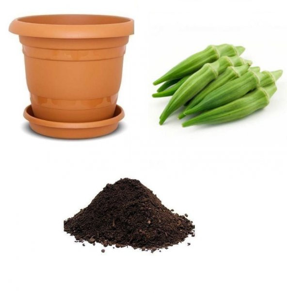 Meşhur Bamya Tohumu Ekim Seti