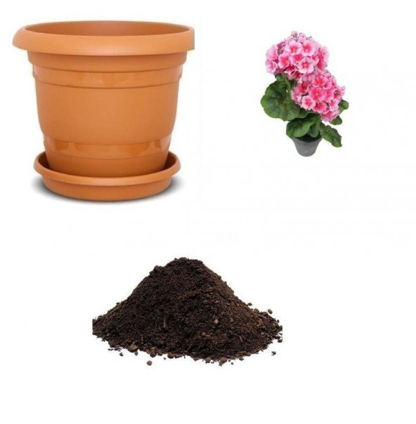 Pembe Çan Çiçeği Tohumu Ekim Seti