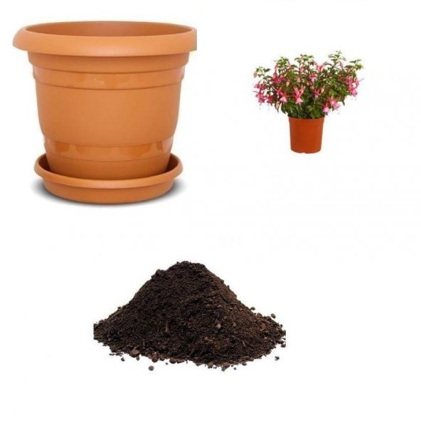 Pembe Küpeli Çiçeği Tohumu Ekim Seti