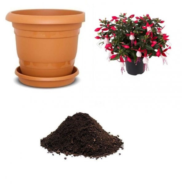 Karışık Küpeli Çiçeği Tohumu Ekim Seti