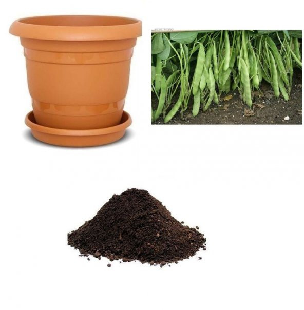 Magnum Fasulye Tohumu Ekim Seti