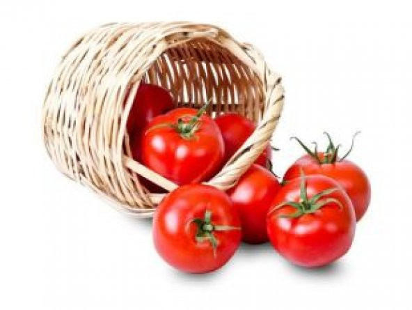 Meşhur Falkon Domates Tohumu Ekim Seti - Resim 2