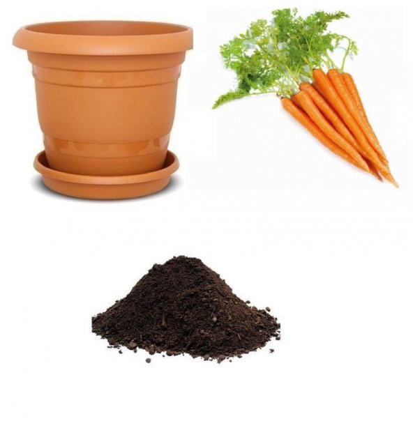Havuç Tohumu Ekim Seti