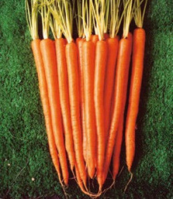 Havuç Tohumu Ekim Seti - 3