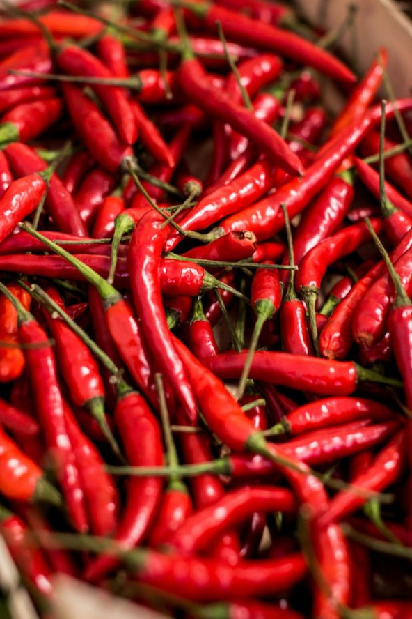 İthal Acı Wyang Ping Biberi Tohumu Ekim Seti - 3