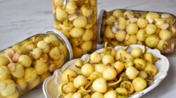 Acı Fındık Biberi Tohumu Ekim Seti - 5