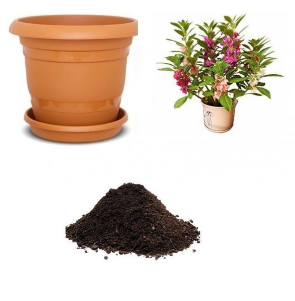 Türbe Çiçeği Tohumu Ekim Seti ürün görseli