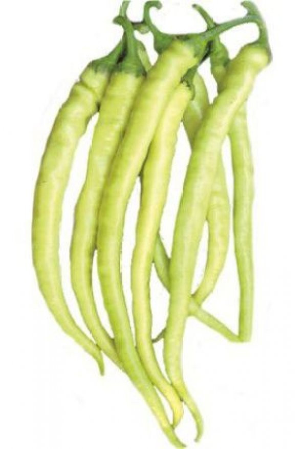 Nadir Acı Sarı Golden Biber Tohumu Ekim Seti - 2