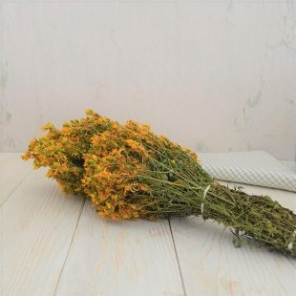 Nadir Sarı Kantoron Tohumu Ekim Seti - 4