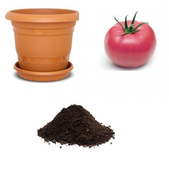 Nadir Dev Pembe Domates Tohumu Ekim Seti