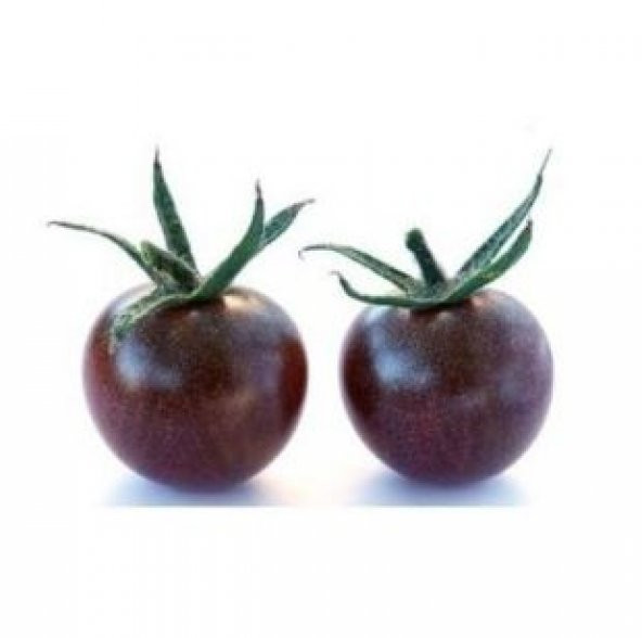 İthal Black Tomato Tohumu Ekim Seti - 2