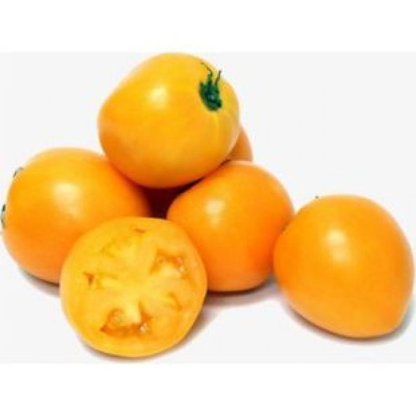 Nadir Turuncu Domates Tohumu Ekim Seti - 4