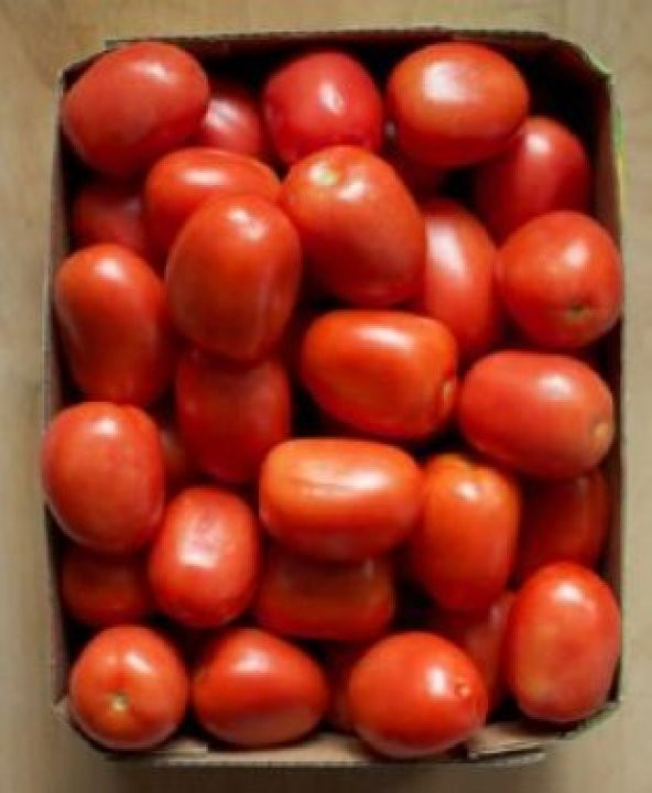 Thailand Yumurta Domates Tohumu Ekim Seti - 5