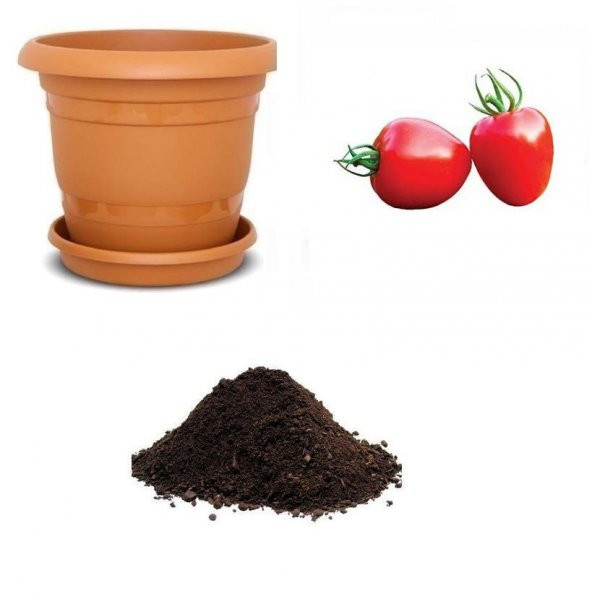 Nadir Çilek Domatesi Tohumu Ekim Seti