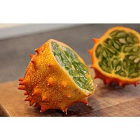 İthal Tropikal Boynuzlu Kavun Tohumu Ekim Seti - Resim 4