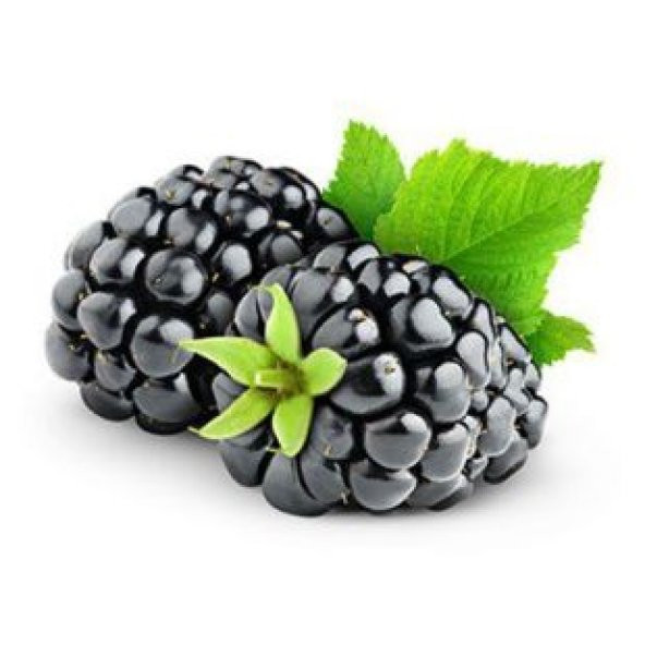 Ahududu Tohumu Ekim Seti - 2