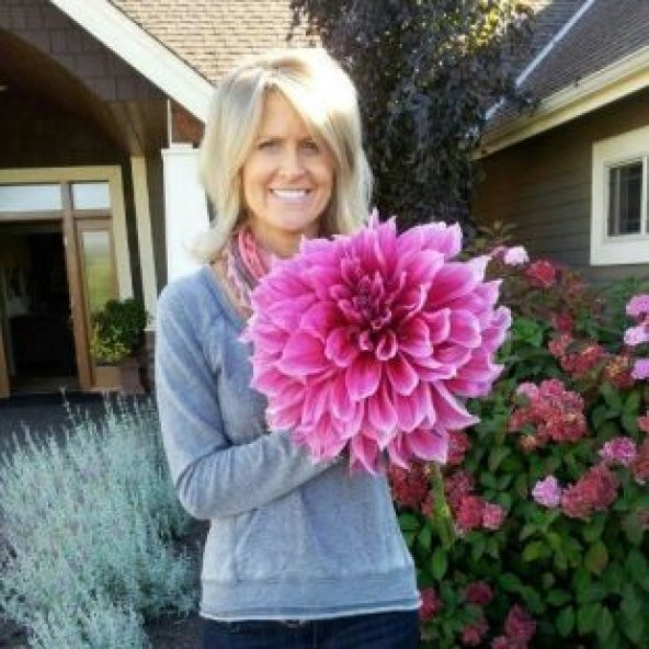 Karışık Dev Dahlia Çiçeği Tohumu Ekim Seti - 4