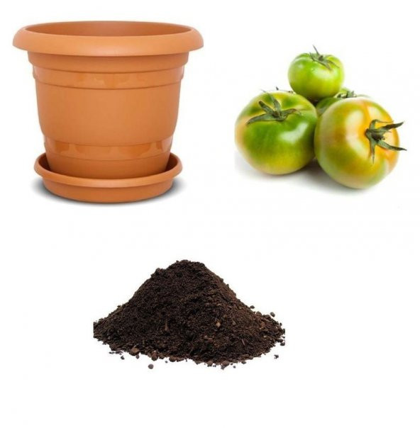 Yayla Domatesi Tohumu Ekim Seti