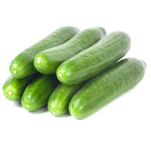 Meşhur Çengelköy Salatalık Tohumu Ekim Seti - 4