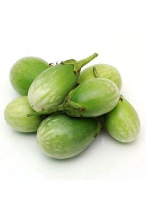 İthal Yeşil Dolmalık Patlıcan Tohumu Ekim Seti - 4