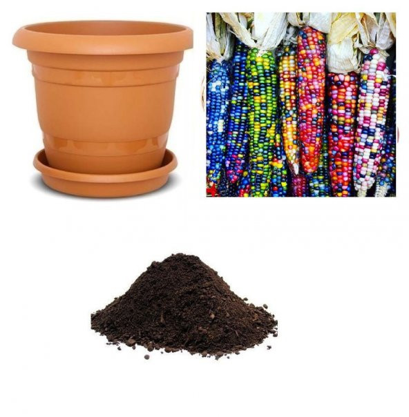 Hint Mısırı Tohumu Ekim Seti