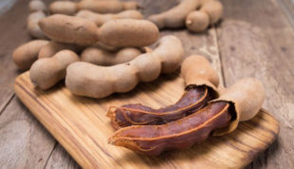 İthal Tamarind Tohumu Ekim Seti - Resim 5