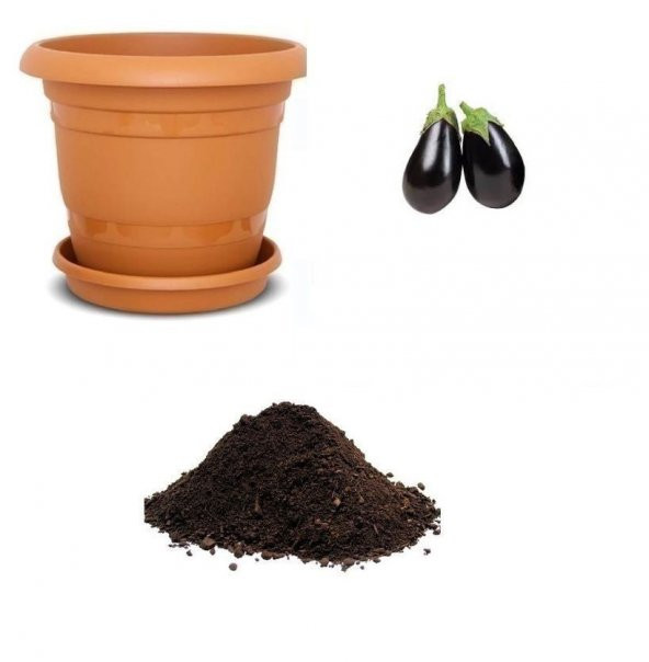 Nadir İthal Dev Patlıcan Tohumu Ekim Seti ürün görseli 1