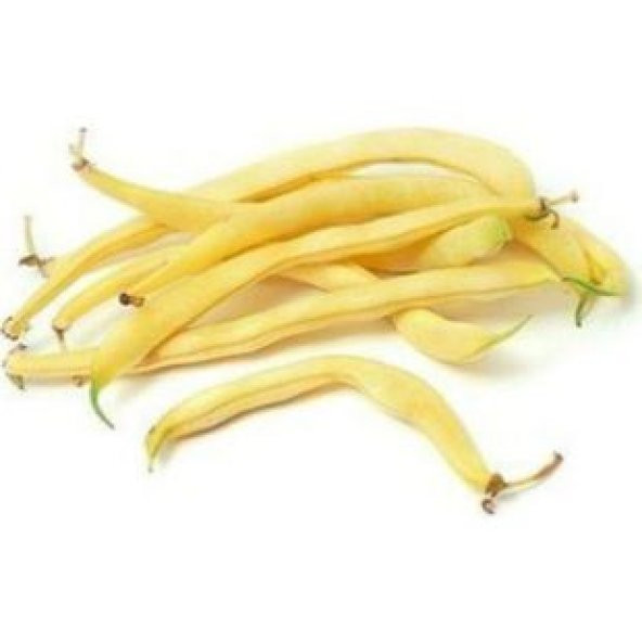 Nadir İthal Thailand Sarı Fasulye Tohumu Ekim Seti - 2