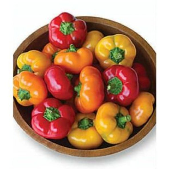 Nadir İthal Peynir Biberi Tohumu Ekim Seti - 2