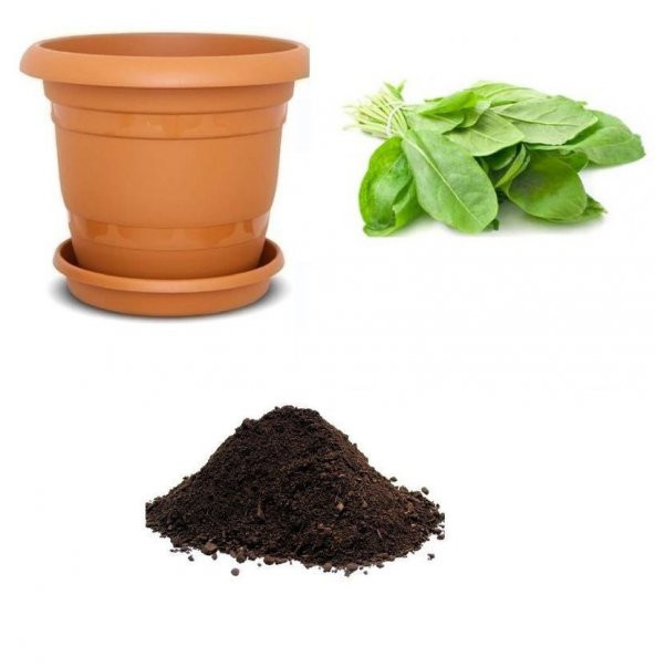 Koç Kulağı Tohumu Ekim Seti
