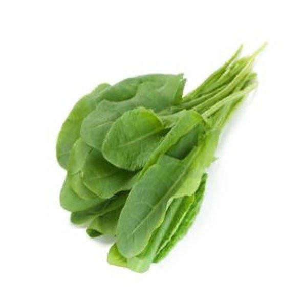 Ekşi Otu Tohumu Ekim Seti - Resim 2