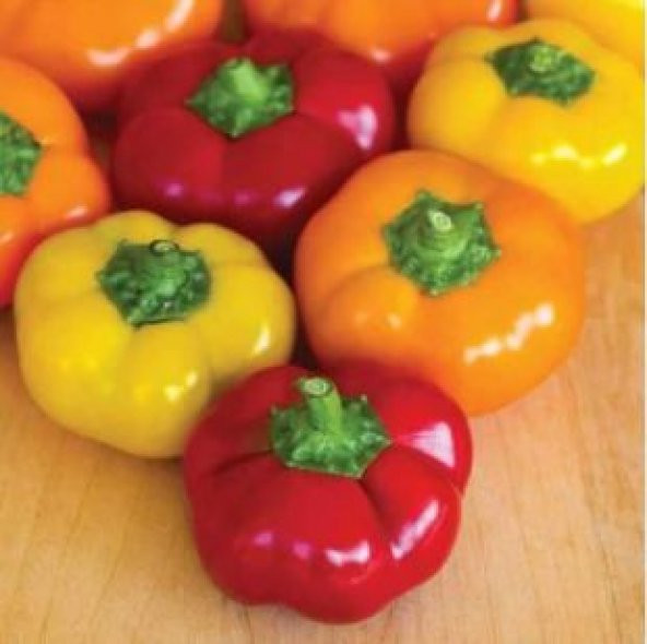 Nadir İthal Peynir Biberi Tohumu Ekim Seti - 4