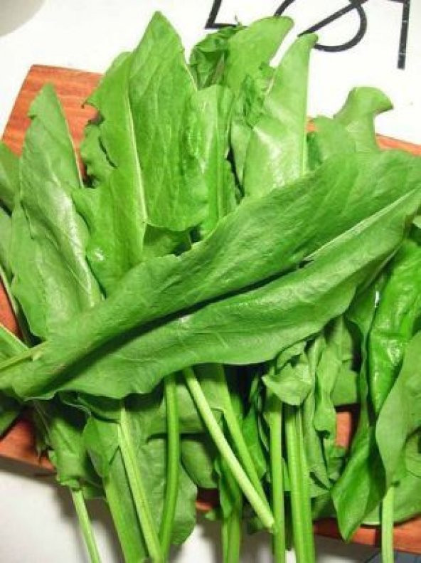 Ekşiotu Tohumu Ekim Seti - 3