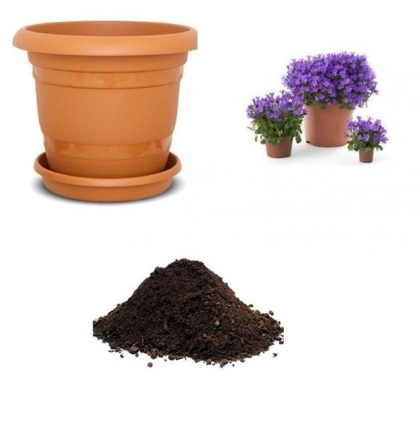 Mor Çan Çiçeği Tohumu Ekim Seti