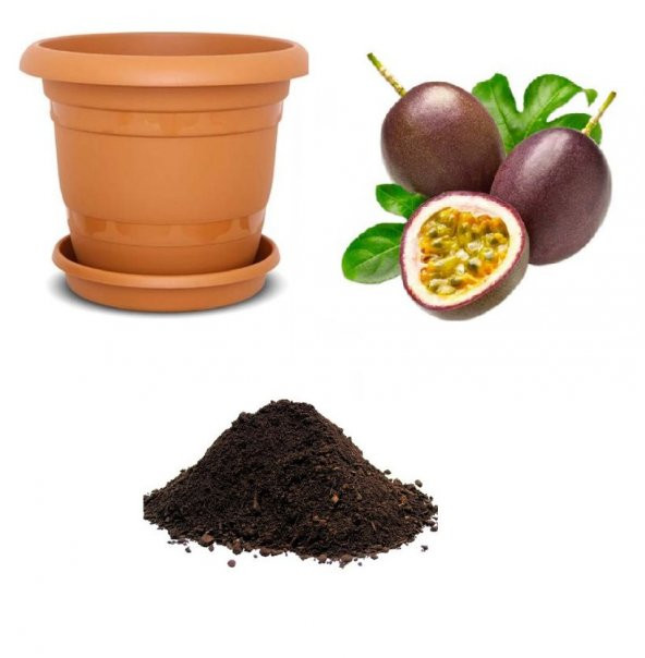 İthal Passiflora Tohumu Ekim Seti