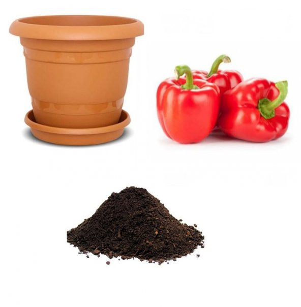 Nadir Acı Kırmızı Dolmalık Biber Tohumu Ekim Seti