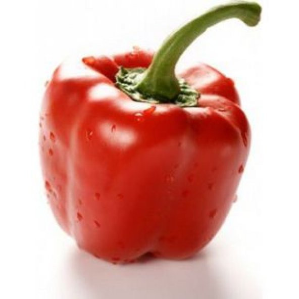 Nadir Acı Kırmızı Dolmalık Biber Tohumu Ekim Seti - 3