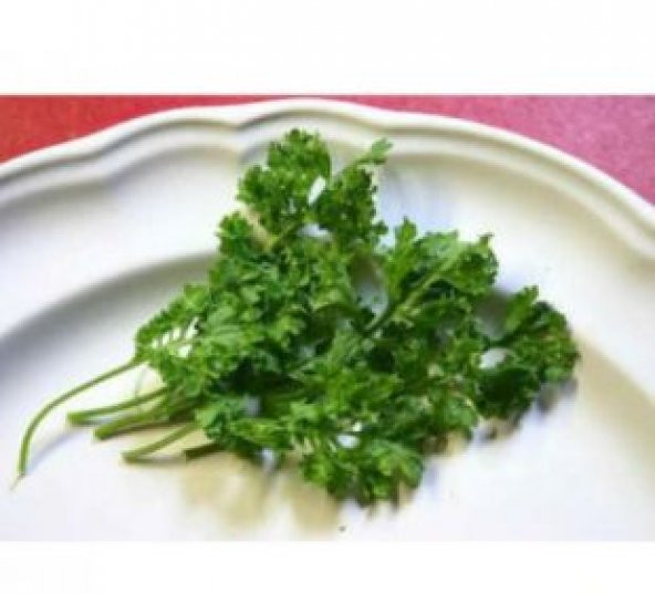 Nadir İthal Crinkled Tere Tohumu Ekim Seti - 3
