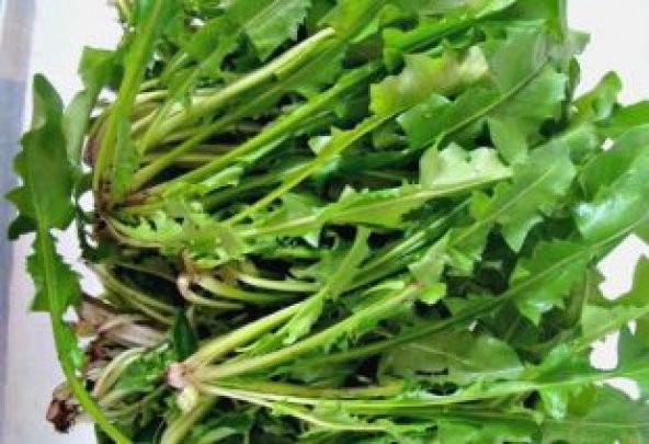 Meşhur Hindi bağ Tohumu Ekim Seti - Resim 3