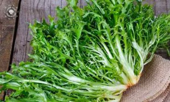 Meşhur Hindi bağ Tohumu Ekim Seti - Resim 4