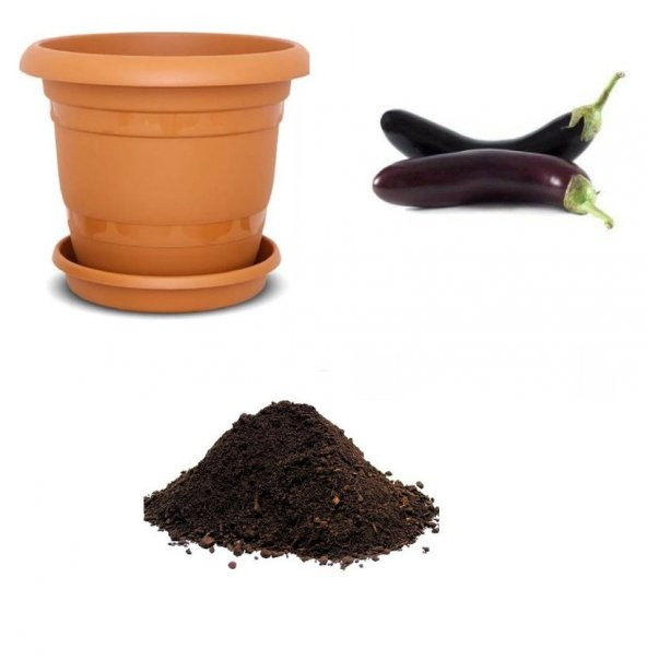 Nadir Diyarbakır Kemer Patlıcan Tohumu Ekim Seti