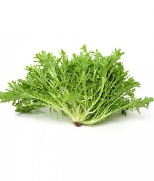 Meşhur Hindiba Tohumu Ekim Seti - Resim 5