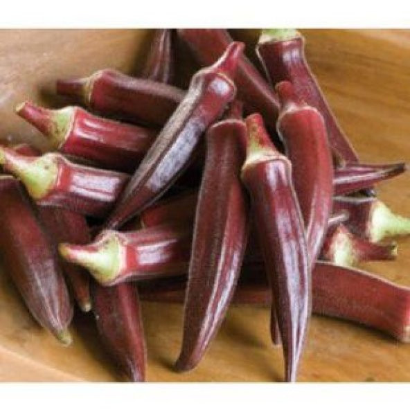 Nadir Kırmızı Bamya Tohumu Ekim Seti - Resim 3