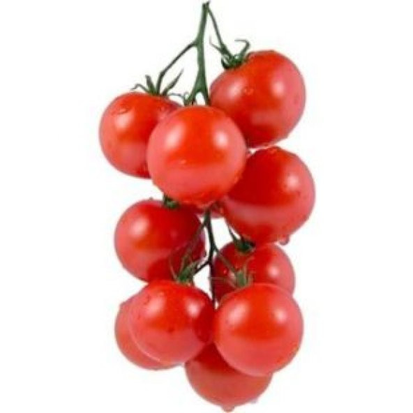 Nadir Erkenci Salkım Domates Tohumu Ekim Seti - Resim 2