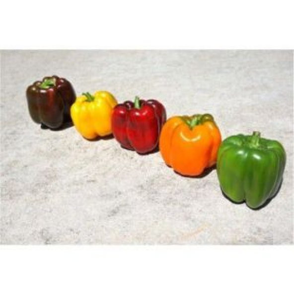 Rengarenk Dolmalık Biber Tohumu Ekim Seti - Resim 4