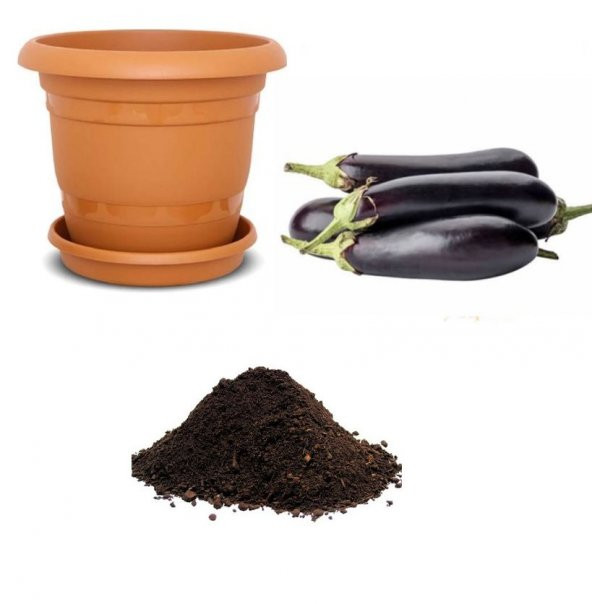 Kemer Patlıcan Tohumu Ekim Seti ürün görseli