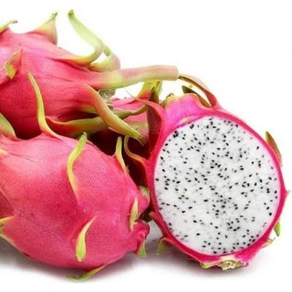 Tropikal Saksılık Pitaya Tohumu Ekim Seti - 3